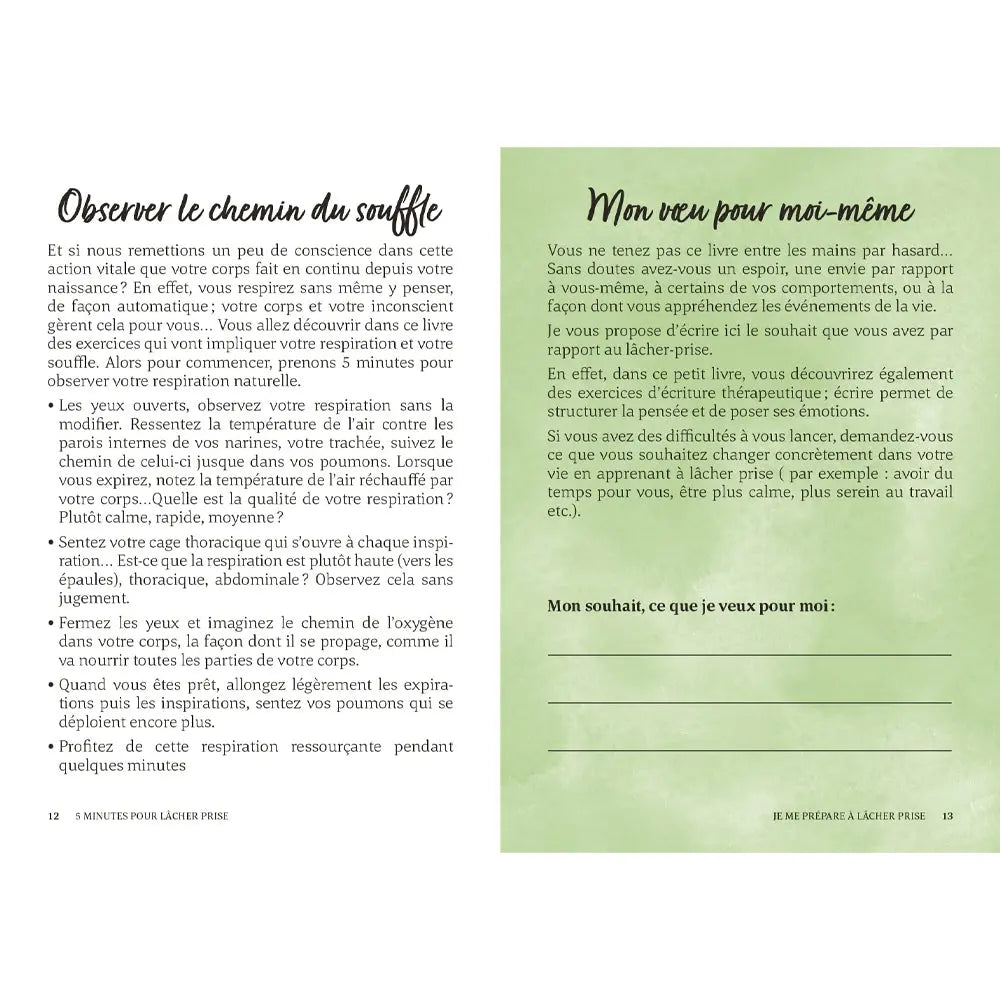 5 Minutes pour Lâcher Prise - Emilie Pernet First Editions
