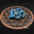 Plusieurs pierres d'apatite polies, aux nuances bleu intense avec des inclusions naturelles, regroupées sur une fleur de vie en bois sur fond noir.