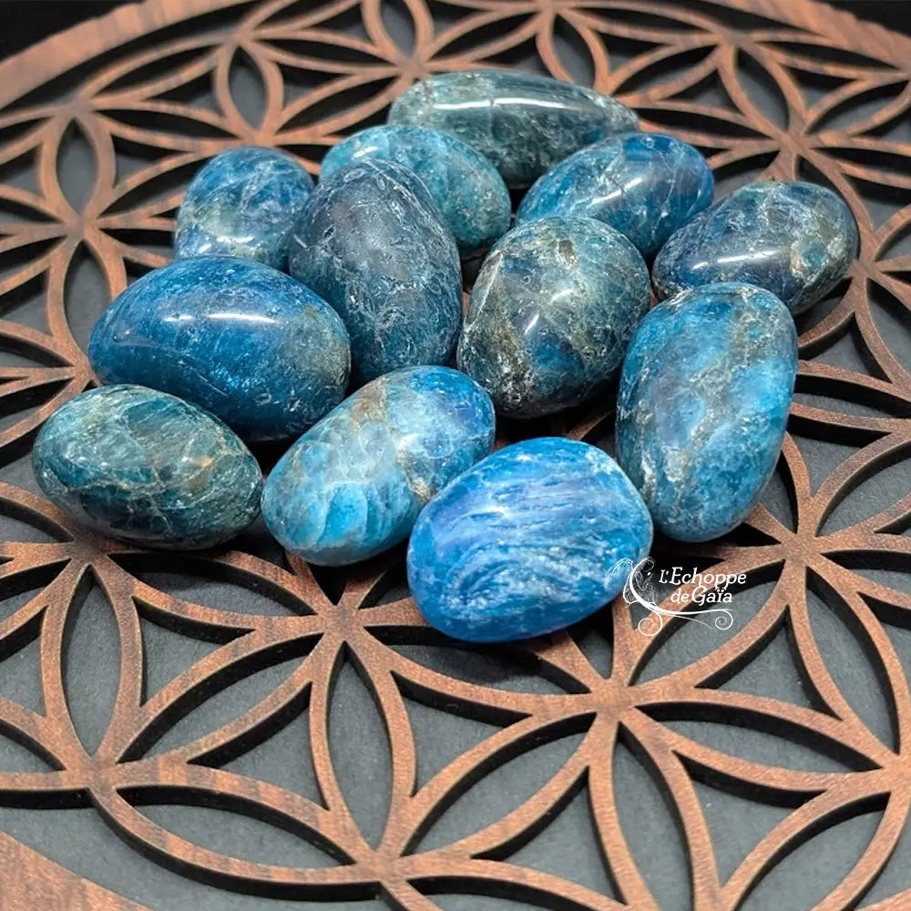 Plusieurs pierres d'apatite polies, aux nuances bleu profond avec des inclusions naturelles, disposées sur une fleur de vie en bois.