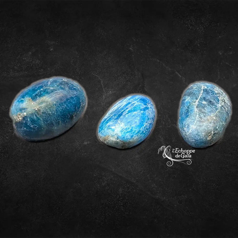 Trois pierres d'apatite polies, arborant un bleu électrique intense avec des inclusions naturelles plus claires, présentées sur un fond noir.
