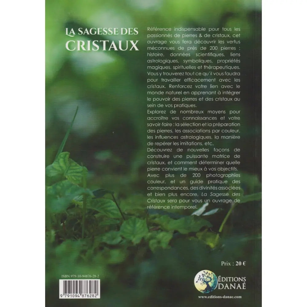 La Sagesse des Cristaux illustré par le verso de sa couverture présentant un résumé détaillé de l'œuvre sur un fond de feuillage vert flouté.