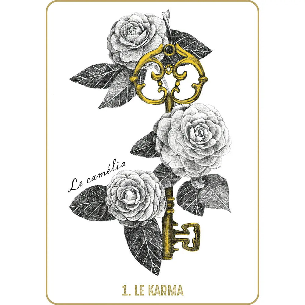 Akasha L'Oracle des Mémoires Akashiques - Emily Nicolle Editions Exergue