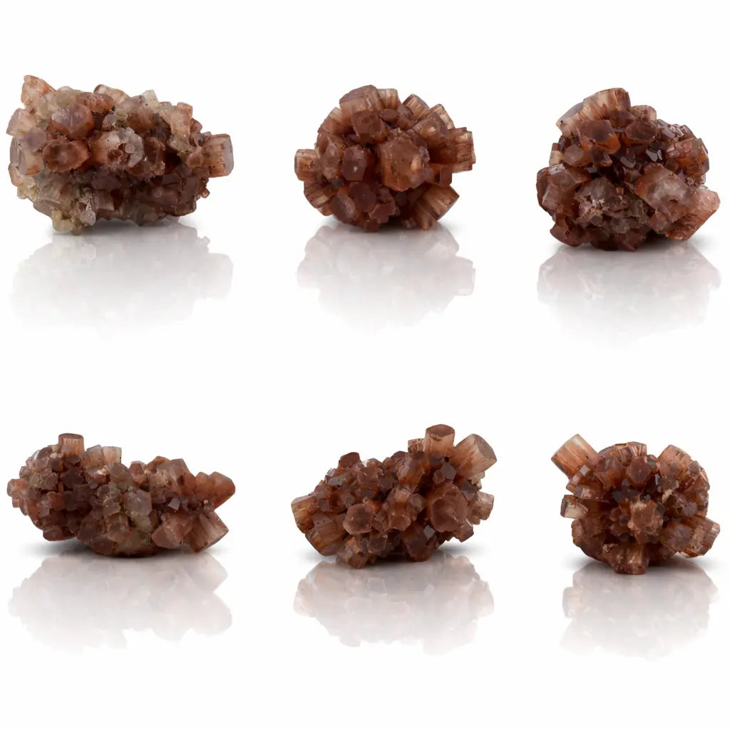 Une planche de six spécimens de cristaux d'aragonite brute montrant différentes formations d'agrégats prismatiques aux tons terreux, présentés sur un fond blanc avec reflets.