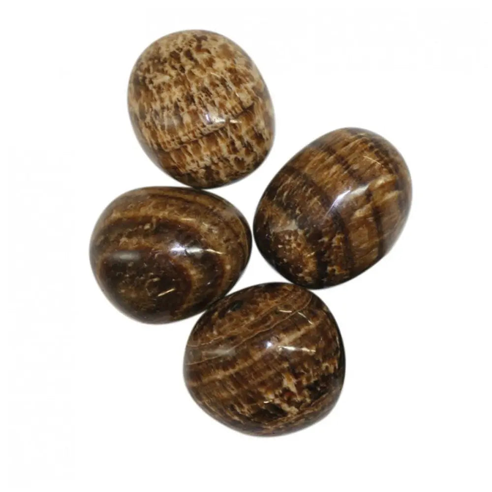 Quatre pierres d'aragonite zonée polies, présentant des bandes circulaires et des strates dans des nuances de brun, caramel et crème, regroupées sur un fond blanc.