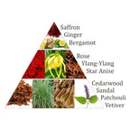 Infographie pyramidale des notes olfactives avec photos d’ingrédients et textes « Saffron, Ginger, Bergamot, Rose, Ylang-Ylang, Star Anise, Cedarwood, Sandal, Patchouli, Vetiver ».