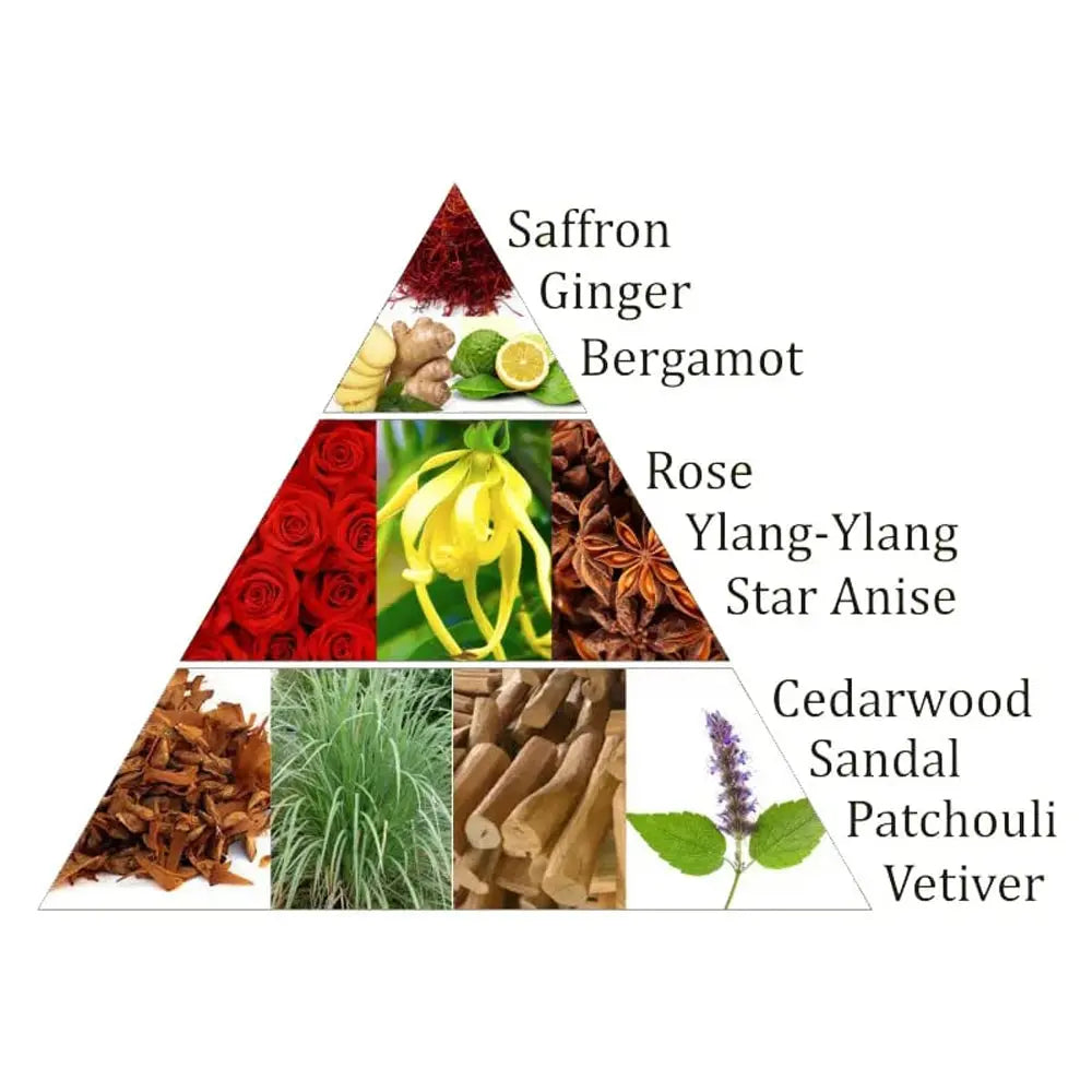 Infographie pyramidale des notes olfactives avec photos d’ingrédients et textes « Saffron, Ginger, Bergamot, Rose, Ylang-Ylang, Star Anise, Cedarwood, Sandal, Patchouli, Vetiver ».