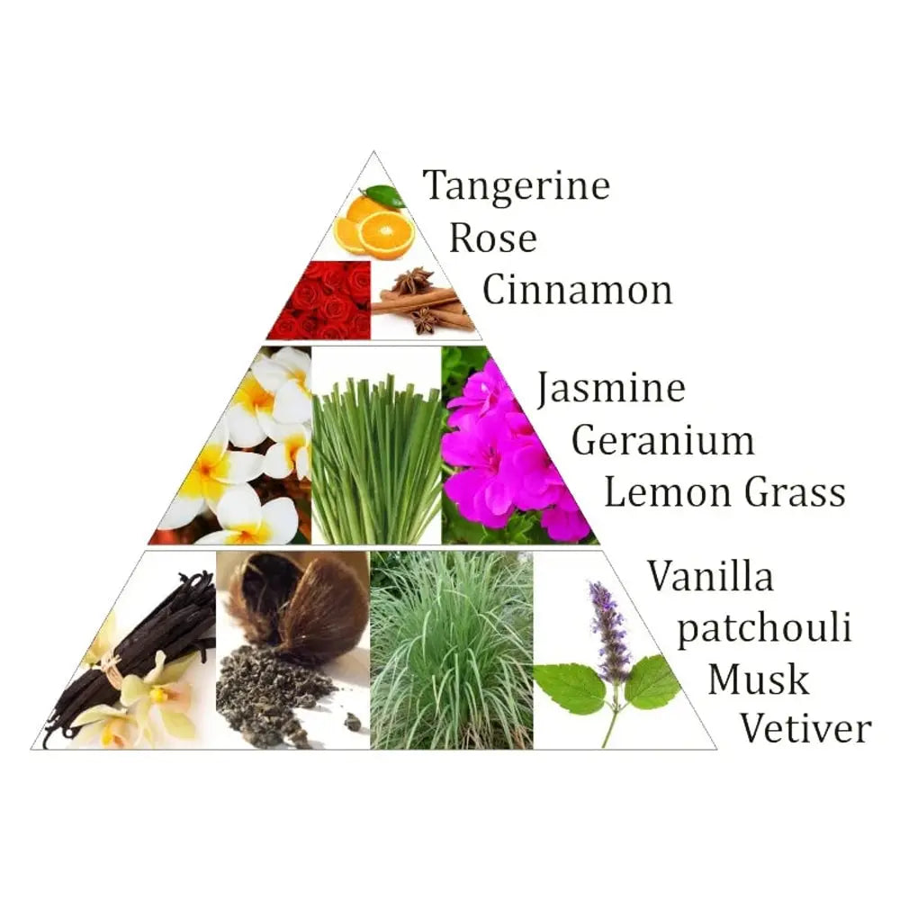 Infographie pyramidale des notes olfactives avec photos d’ingrédients et textes « Tangerine, Rose, Cinnamon, Jasmine, Geranium, Lemon Grass, Vanilla, patchouli, Musk, Vetiver ».