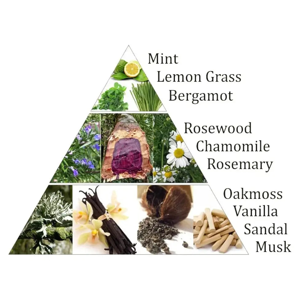 Schéma en triangle montrant plantes, bois et épices en images, avec liste en anglais : Mint, Lemon Grass, Bergamot, Rosewood, Chamomile, Rosemary, Oakmoss, Vanilla, Sandal, Musk.