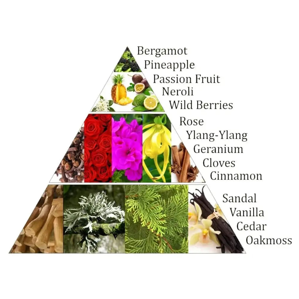 Schéma en triangle présentant fruits, fleurs et épices en images, avec liste en anglais : Bergamot, Pineapple, Passion Fruit, Neroli, Wild Berries, Rose, Ylang-Ylang, Geranium, Cloves, Cinnamon, Sandal, Vanilla, Cedar, Oakmoss.