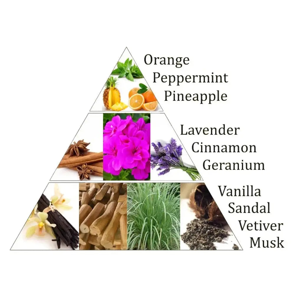 Schéma en triangle présentant fruits, fleurs et épices en images, avec liste en anglais : Orange, Peppermint, Pineapple, Lavender, Cinnamon, Geranium, Vanilla, Sandal, Vetiver, Musk.