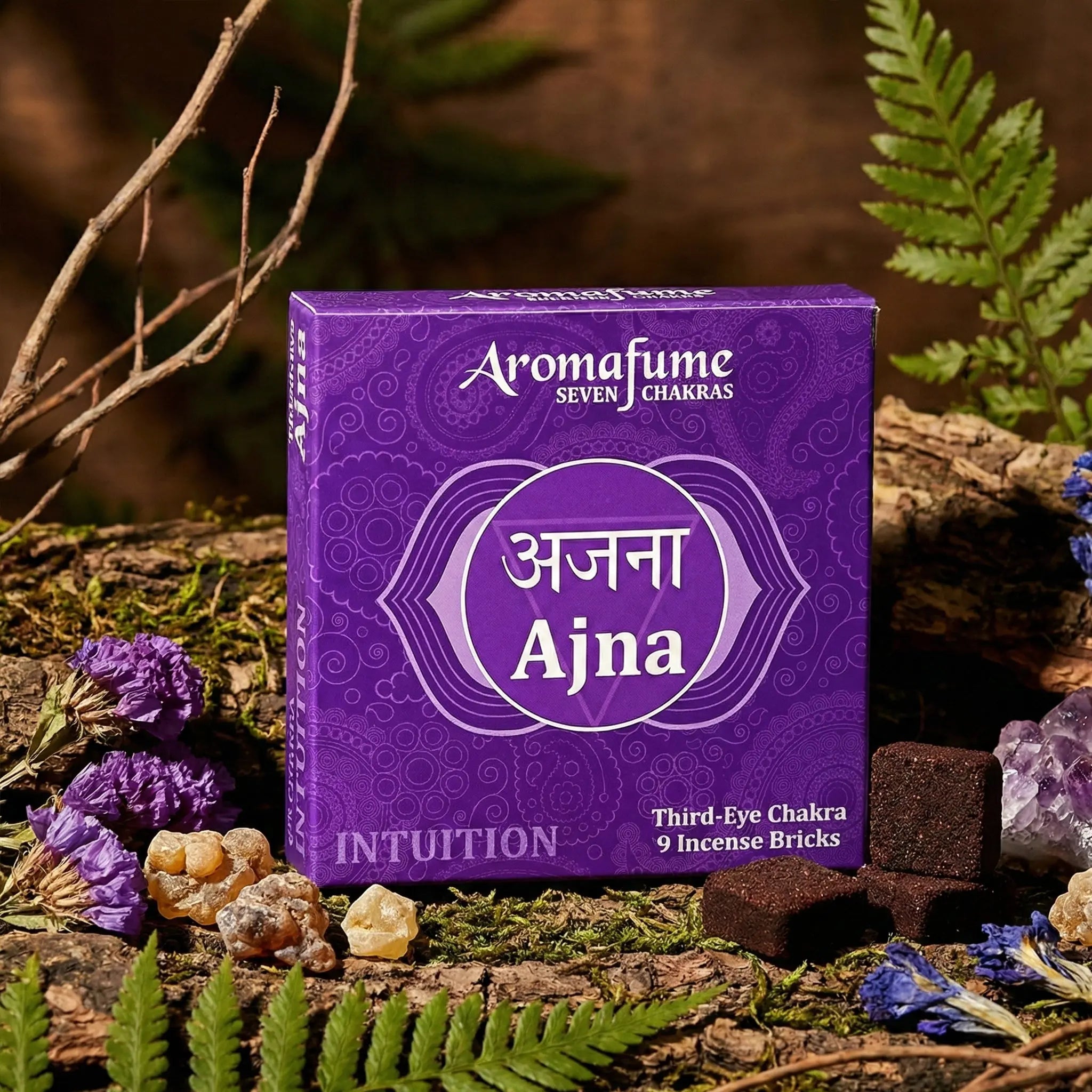 Boîte violette Briques d'Encens Chakra 6 Troisième Oeil Ajna avec carrés d'encens et pierres pour rituel d'intuition