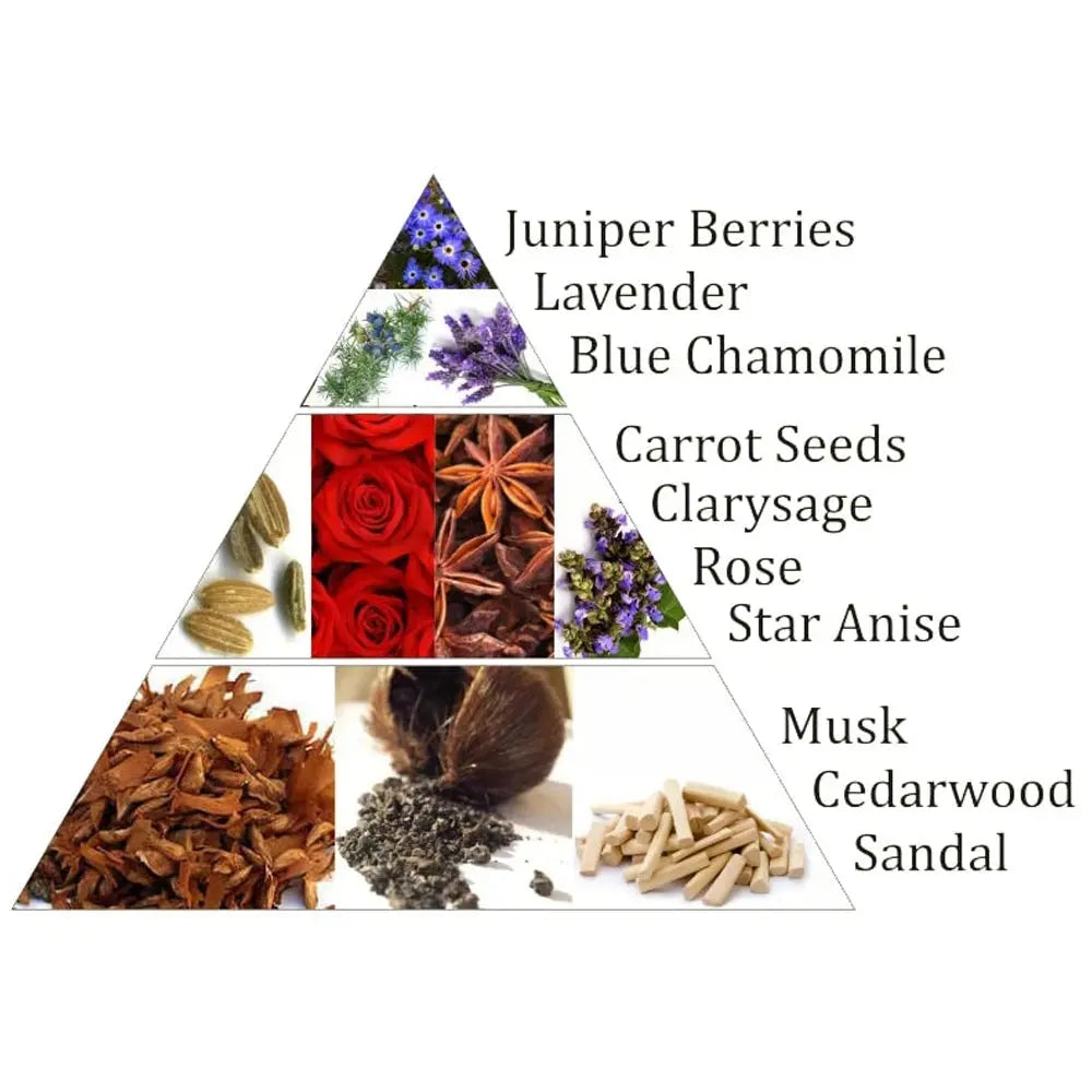 Infographie pyramidale des notes olfactives avec photos d’ingrédients et textes « Juniper Berries, Lavender, Blue Chamomile, Carrot Seeds, Clarysage, Rose, Star Anise, Musk, Cedarwood, Sandal ».