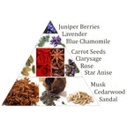 Infographie pyramidale des notes olfactives avec photos d’ingrédients et textes « Juniper Berries, Lavender, Blue Chamomile, Carrot Seeds, Clarysage, Rose, Star Anise, Musk, Cedarwood, Sandal ».