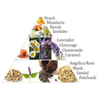 Schéma en triangle présentant fruits, fleurs et ingrédients en images, avec liste en anglais : Peach, Mandarin, Neroli, Jasmine, Lavender, Clarysage, Chamomile, Caramel, Angelica Root, Musk, Sandal, Patchouli.
