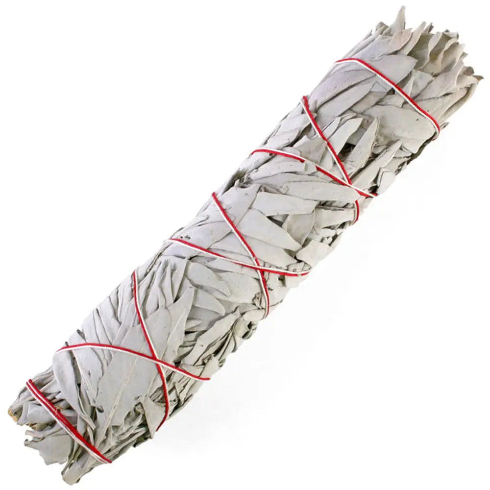 Bâton purificateur de sauge blanche pour fumigation, feuilles gris clair serrées et ficelées de rouge sur fond blanc.