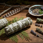 Bâton de fumigation sauge et cèdre, herbes vert gris ficelées, posé sur rameaux de cèdre avec coquille d’ormeau et lavande.