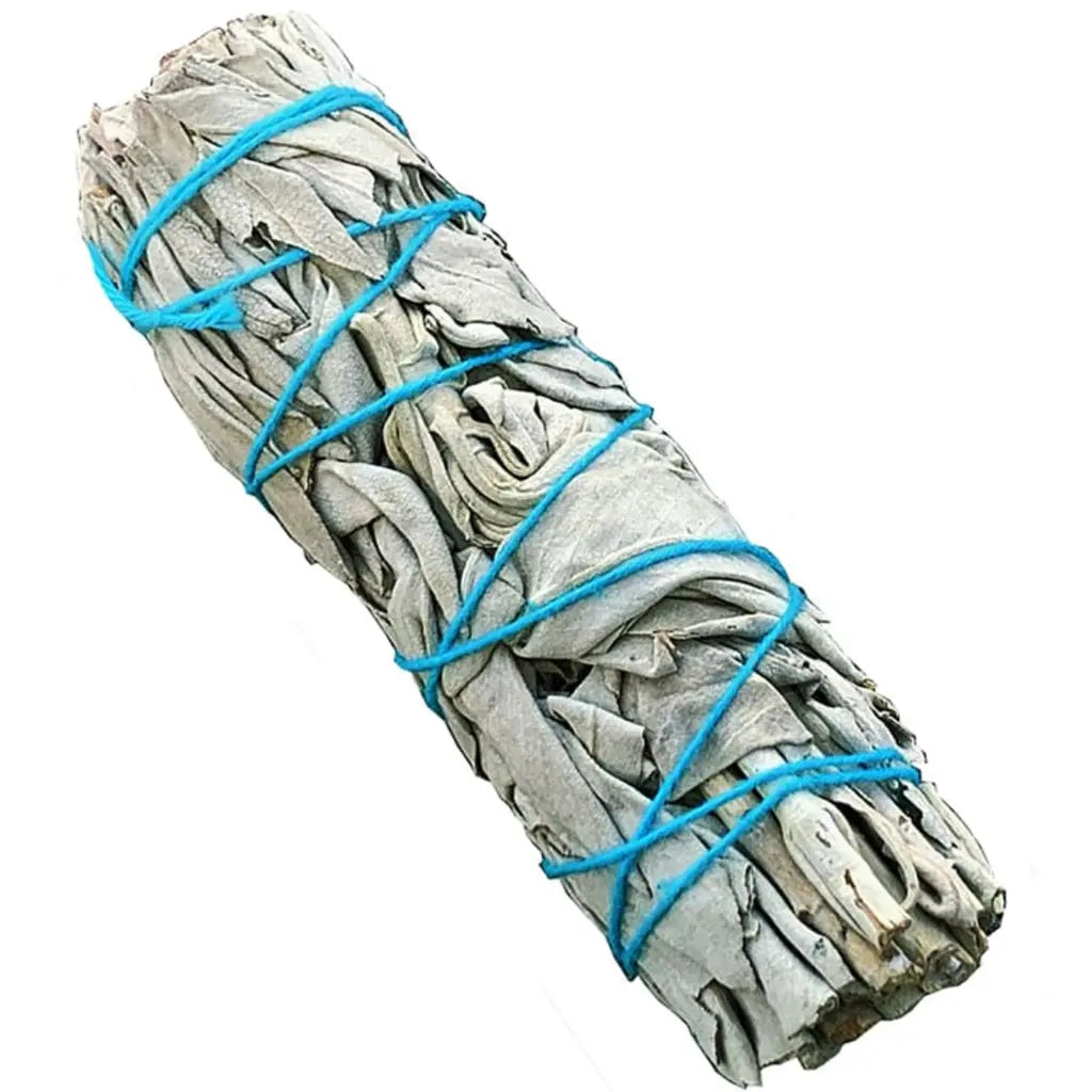 Bâton purificateur de sauge blanche moyen modèle, feuilles gris pâle ficelées de bleu sur fond blanc.