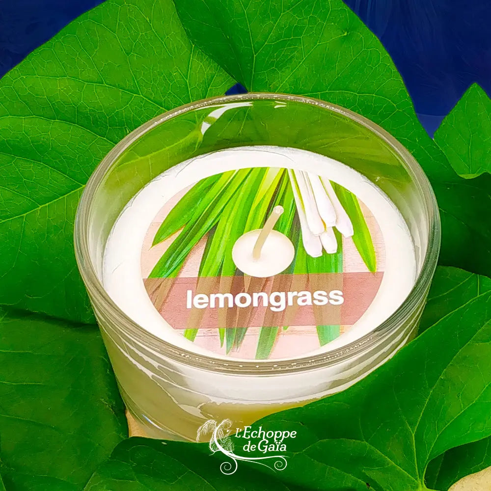 Bougie naturelle parfumée "lemongrass" dans un contenant en verre transparent, mise en scène sur un lit de grandes feuilles vertes.