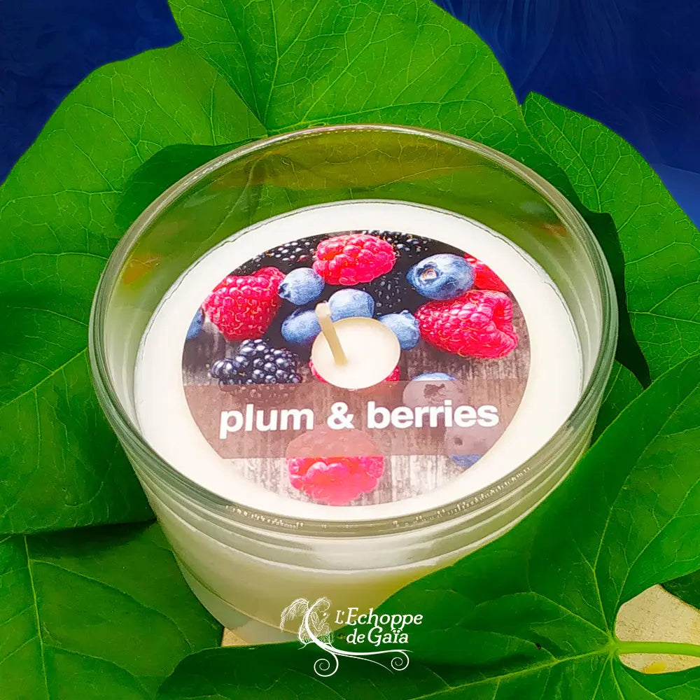 Bougie naturelle parfumée prune et baies rouges en verre, avec étiquette illustrée de fruits rouges et texte plum & berries, posée sur de grandes feuilles vertes.
