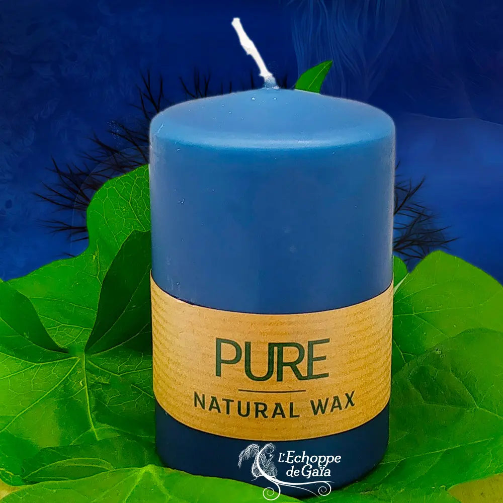 Bougie pilier bleu nuit en cire naturelle « PURE », avec étiquette beige, posée sur des feuilles vertes (L’Echoppe de Gaïa).