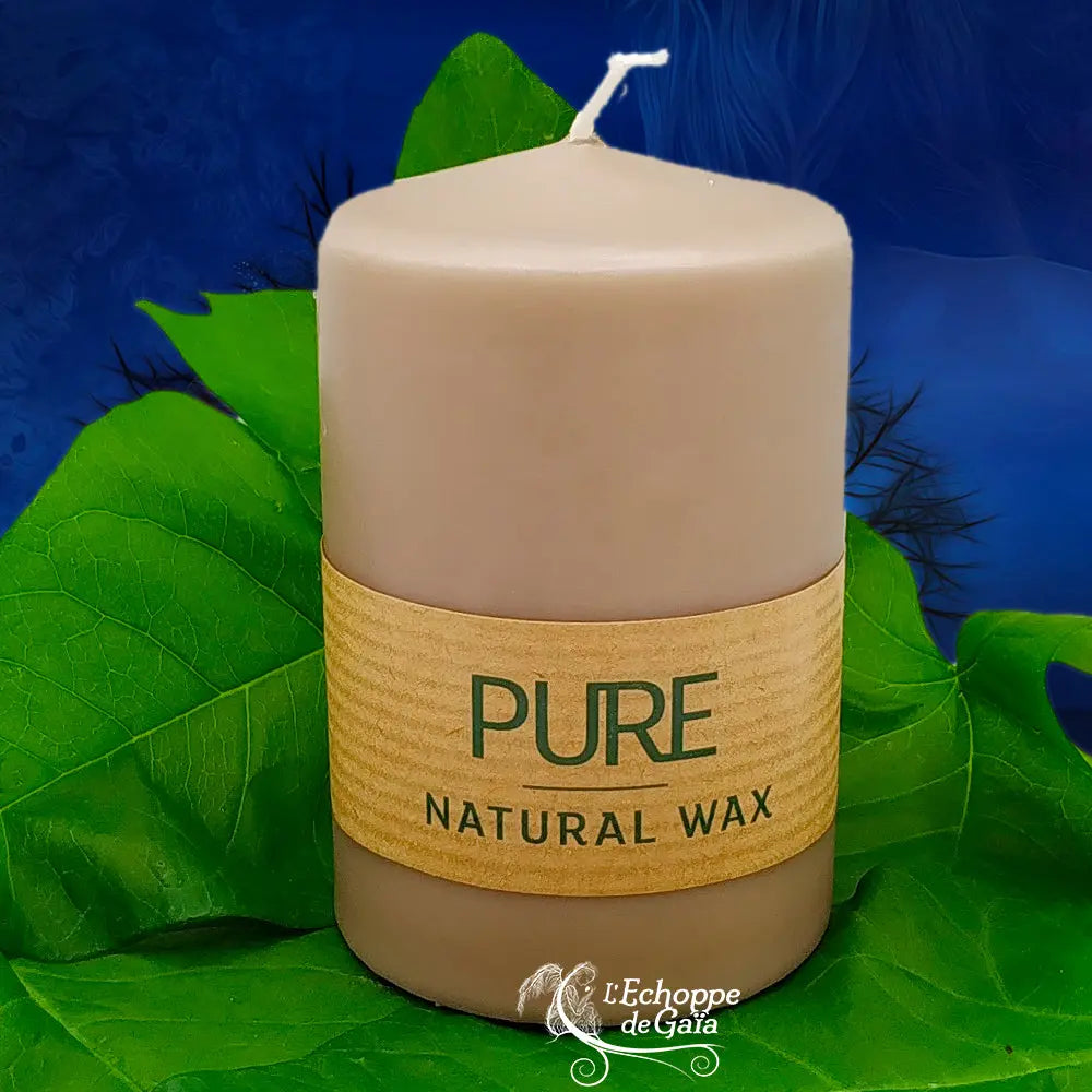 Bougie pilier couleur sable en cire naturelle « PURE », avec étiquette beige, posée sur des feuilles vertes (L’Echoppe de Gaïa).