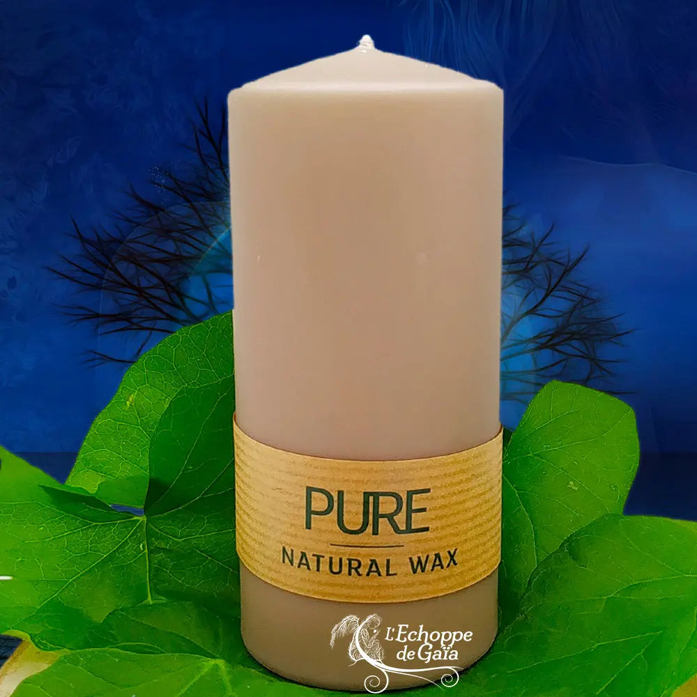 Bougie pilier couleur sable en cire naturelle « PURE », avec étiquette beige, posée sur des feuilles vertes (L’Echoppe de Gaïa).