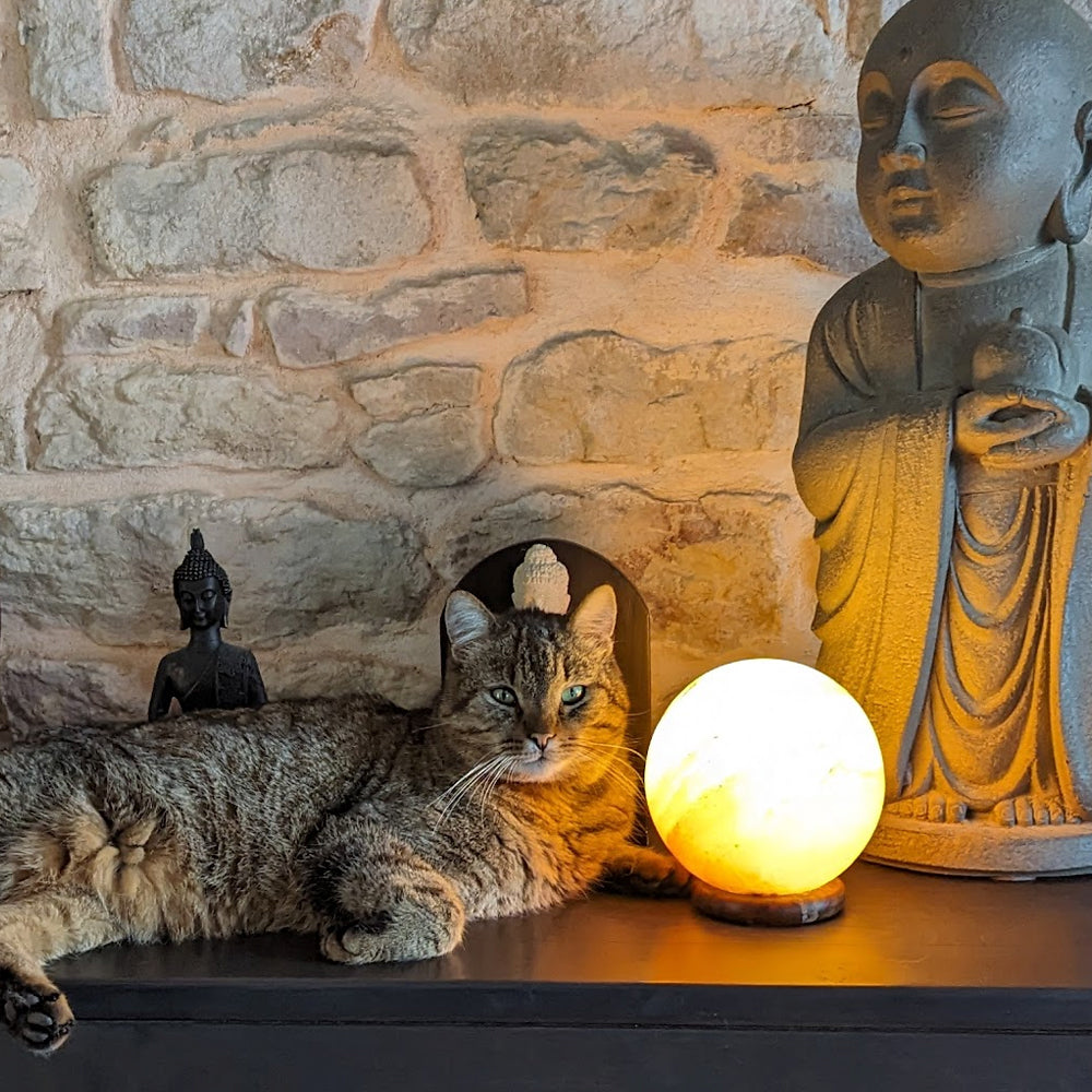 Un chat de type tabby étendu à côté d'une lampe sphérique lumineuse, entouré de statues de Bouddha, devant un mur en pierres apparentes.