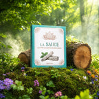 Livre La Sauge Coffret Livre et Bâton Purificateur sur mousse sacrée au pied d'un arbre, entouré de fleurs violettes sous des rayons de soleil magiques.