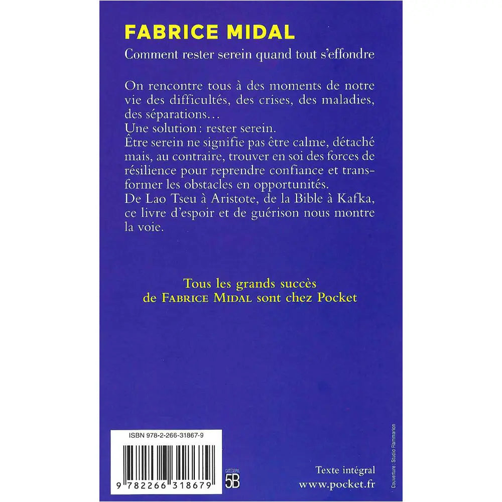 Dos du livre de Fabrice Midal : résumé sur fond bleu, code-barres ISBN et logo des éditions Pocket.