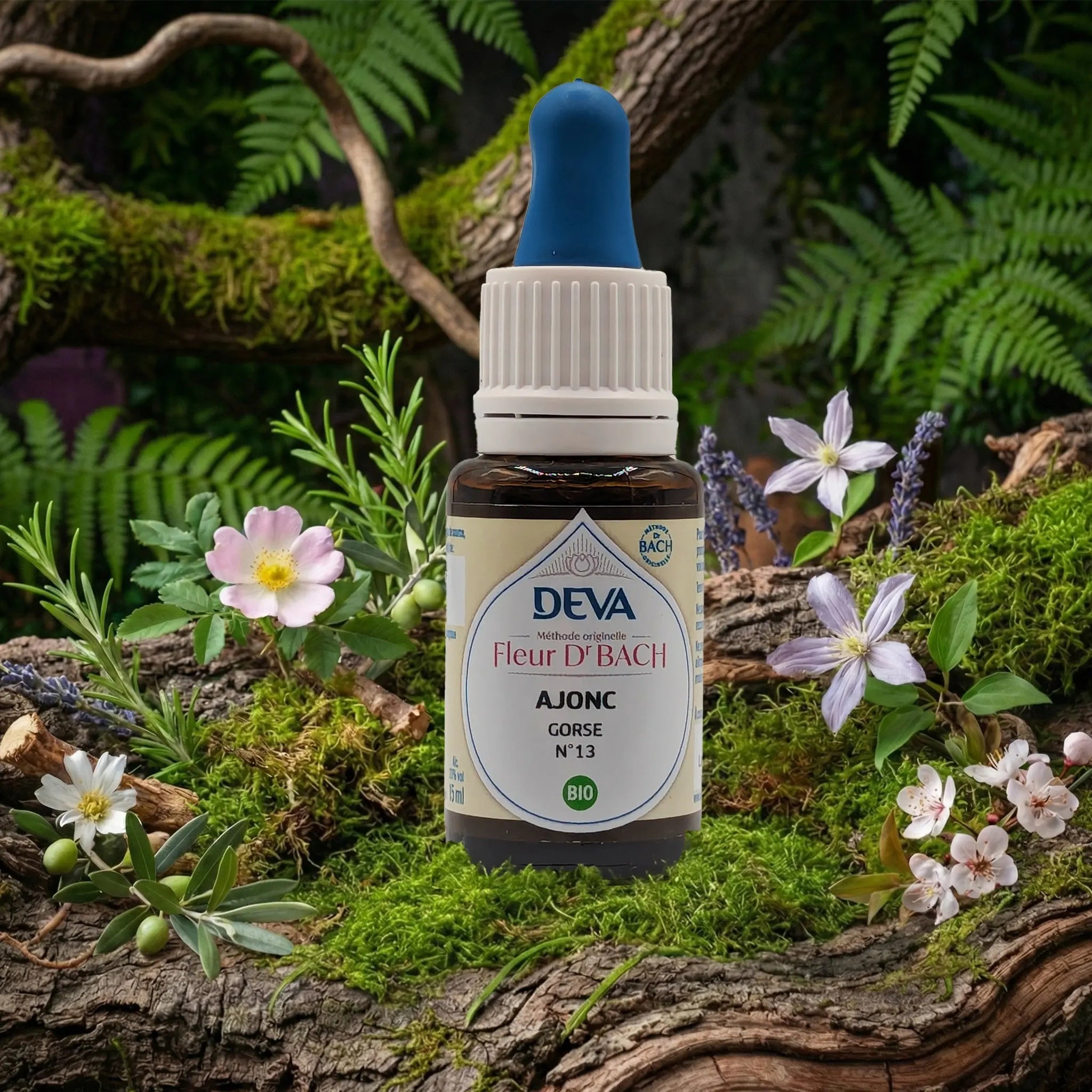 Flacon compte-gouttes Deva - Fleur du Dr Bach - Ajonc N.13 sur un lit de mousse et plantes sauvages