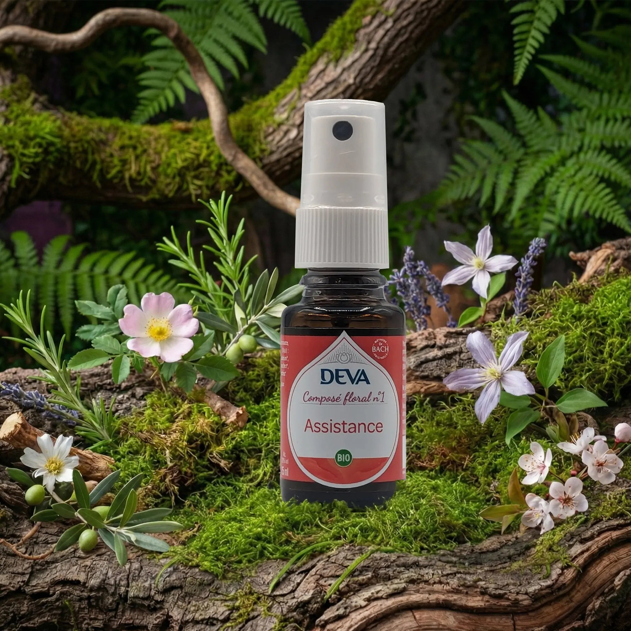 Flacon spray Deva - Composé Floral Dr Bach - Assistance N.1 sur un lit de mousse et plantes sauvages.