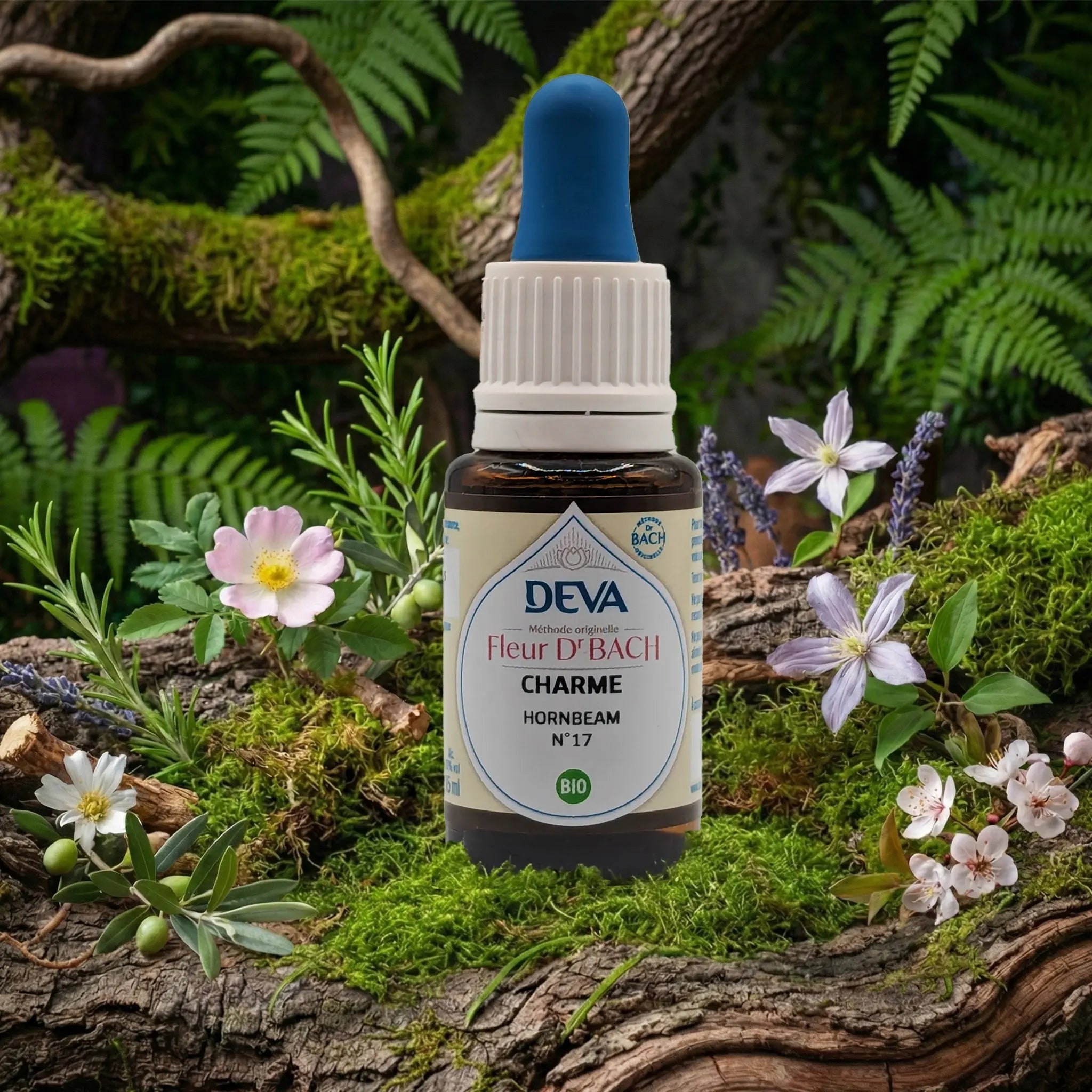 Flacon compte-gouttes Deva - Fleur du Dr Bach - Charme N.17 sur un lit de mousse et plantes sauvages.