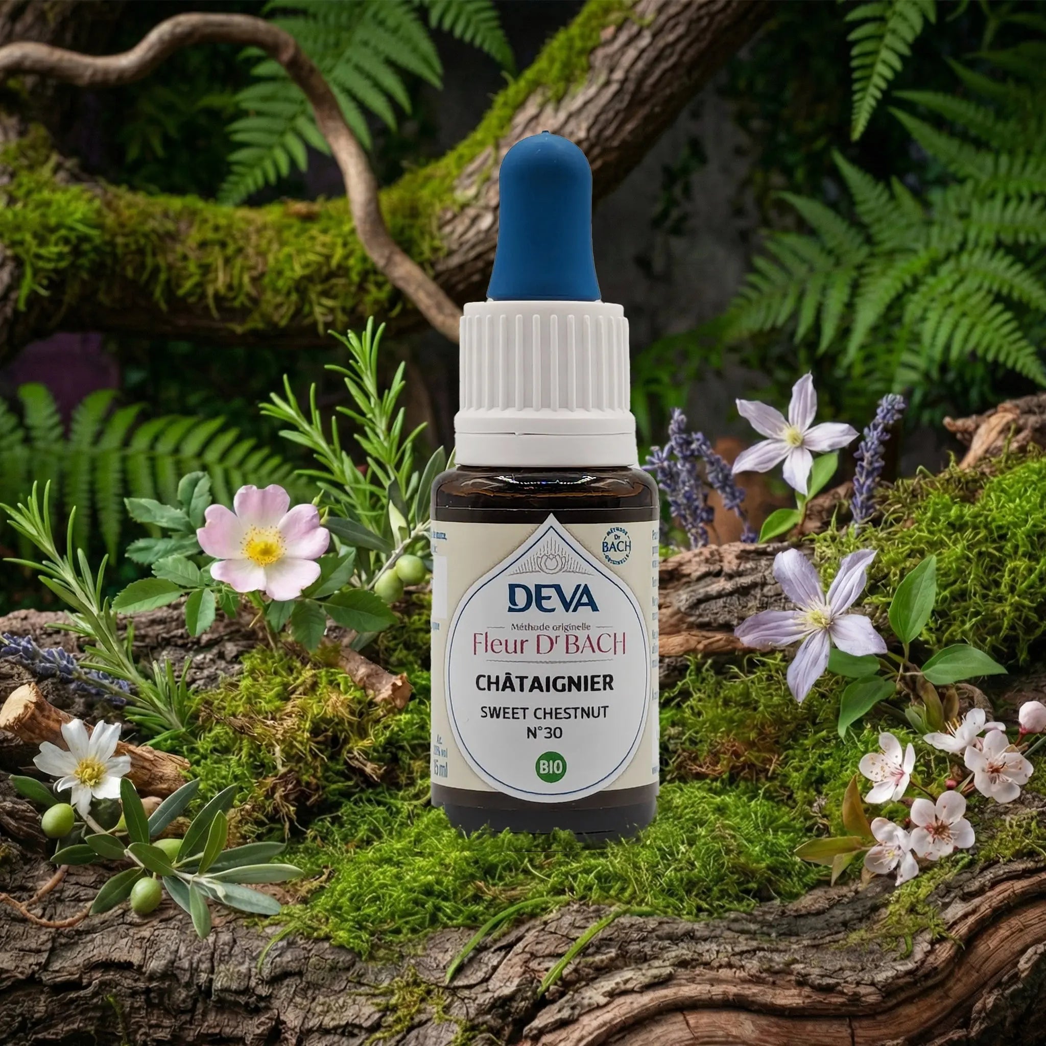 Flacon compte-gouttes Deva - Fleur du Dr Bach - Châtaignier N.30 sur un lit de mousse et plantes sauvages