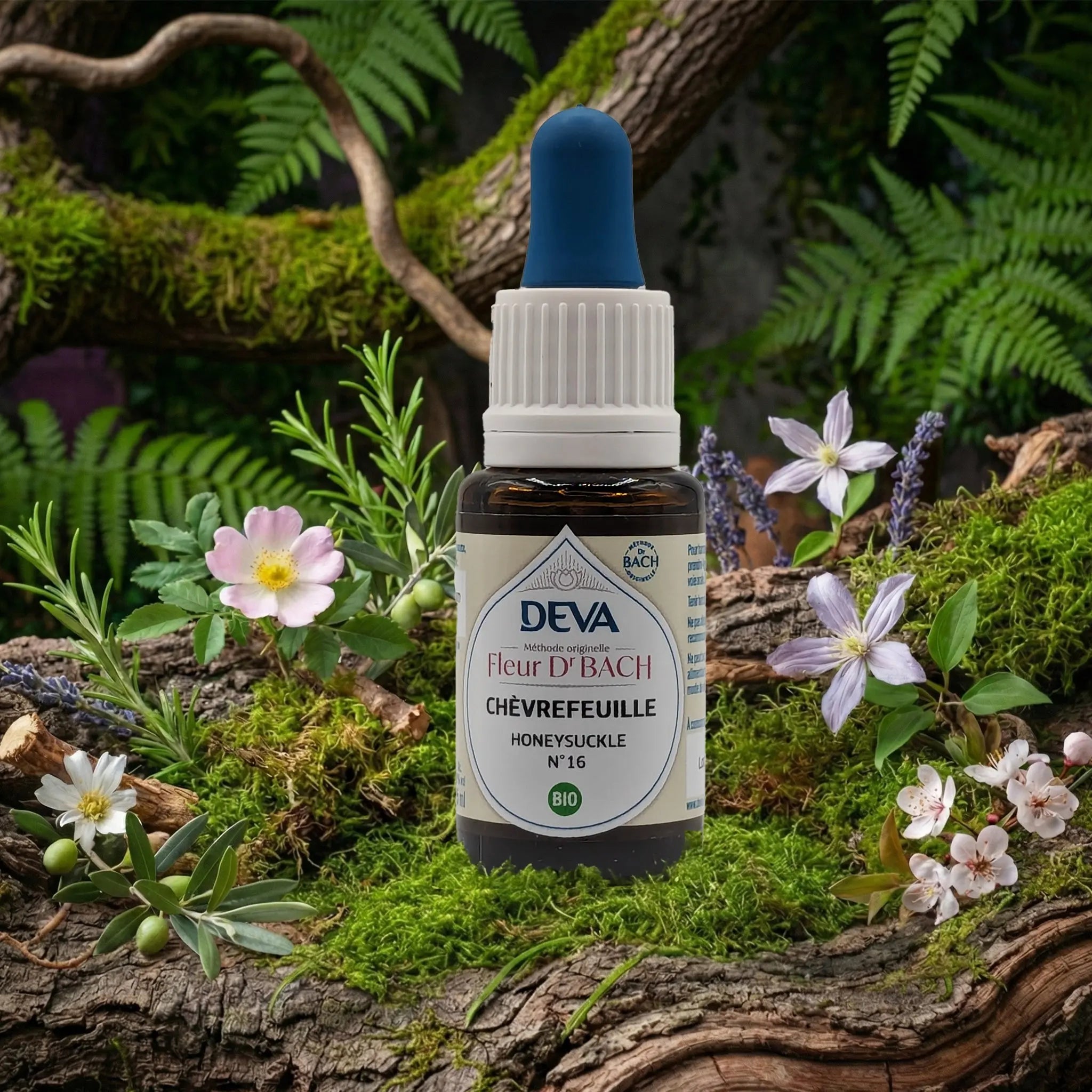 Flacon compte-gouttes Deva - Fleur du Dr Bach - Chèvrefeuille N.16 sur un lit de mousse et plantes sauvages.