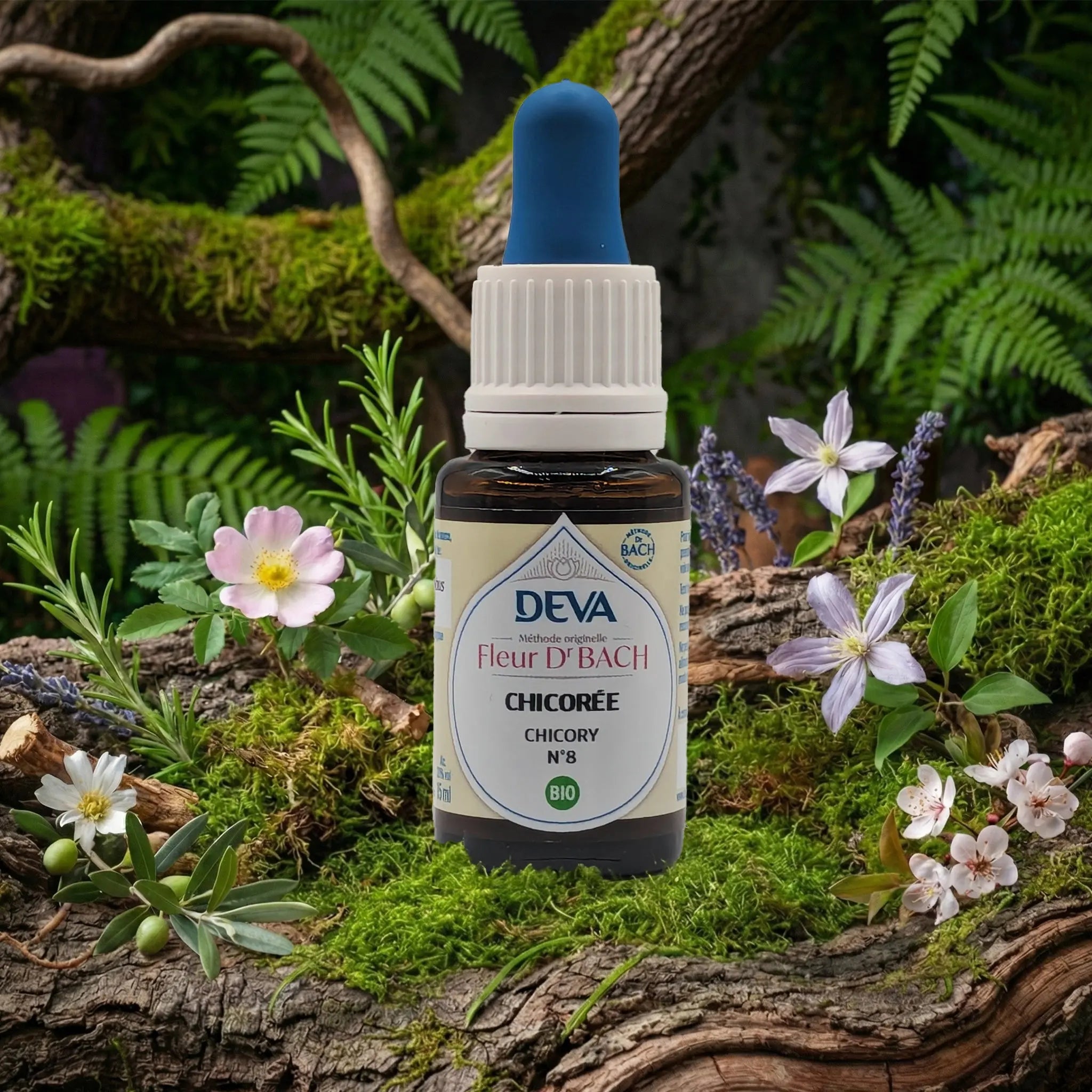 Flacon compte-gouttes Deva - Fleur du Dr Bach - Chicorée N.8 sur un lit de mousse et plantes sauvages