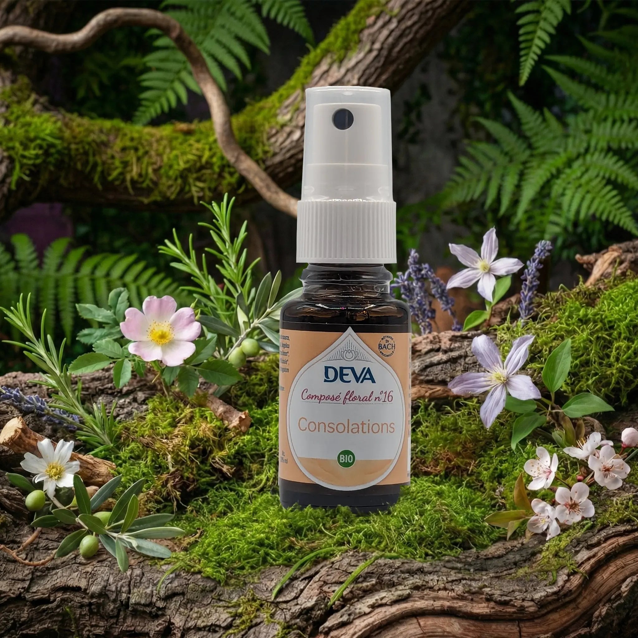 Flacon spray Deva - Composé Floral Dr Bach - Consolation N.16 sur un lit de mousse et plantes sauvages.