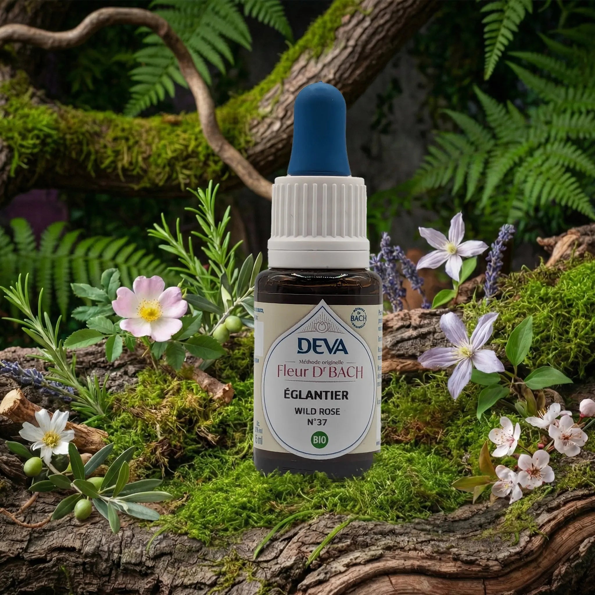 Flacon compte-gouttes Deva - Fleur du Dr Bach - Églantier N.37 sur un lit de mousse et plantes sauvages