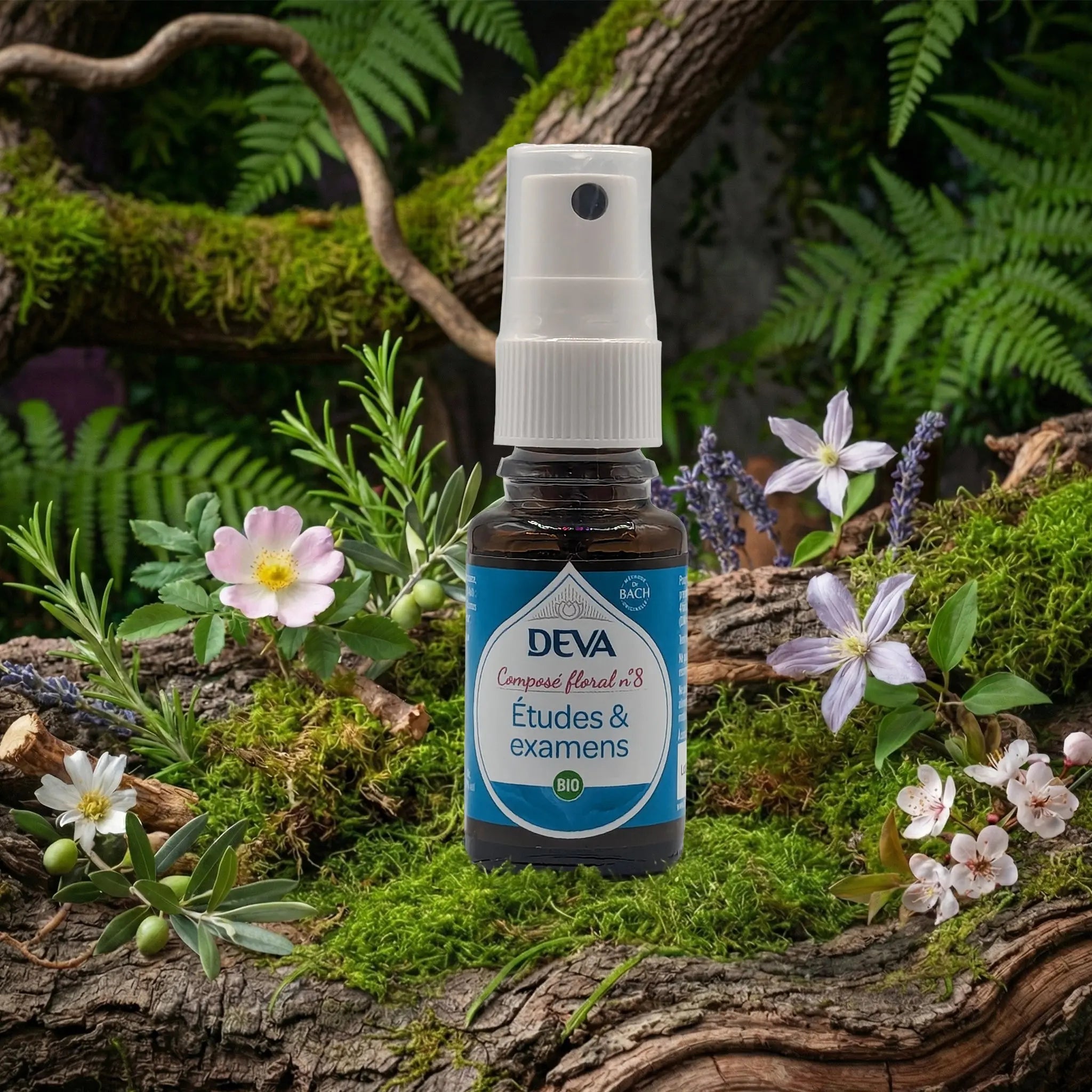 Flacon spray Deva - Composé Floral Dr Bach - Etudes et Examens N.8 sur un lit de mousse et plantes sauvages.