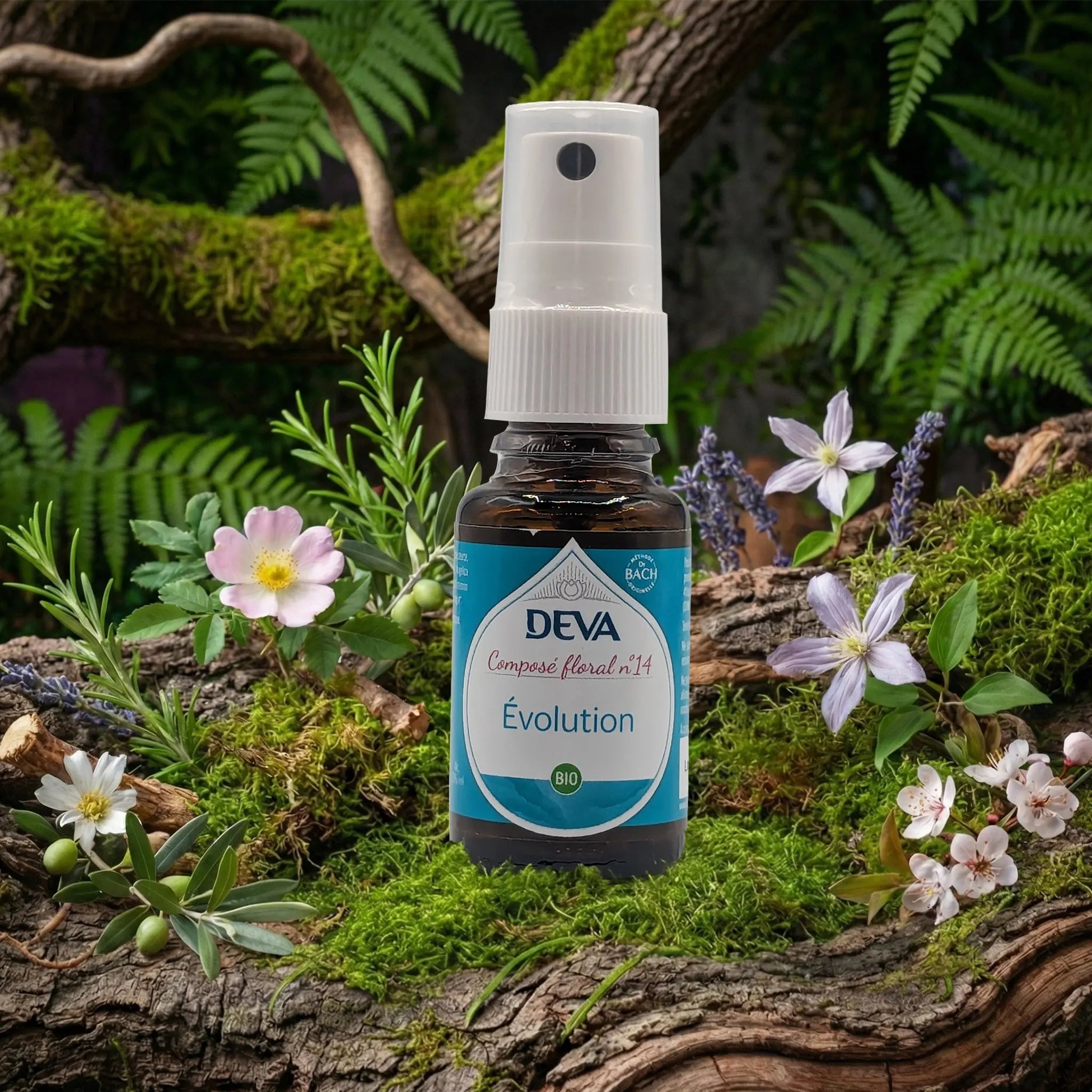 Flacon spray Deva - Composé Floral Dr Bach - Evolution N.14 sur un lit de mousse et plantes sauvages.