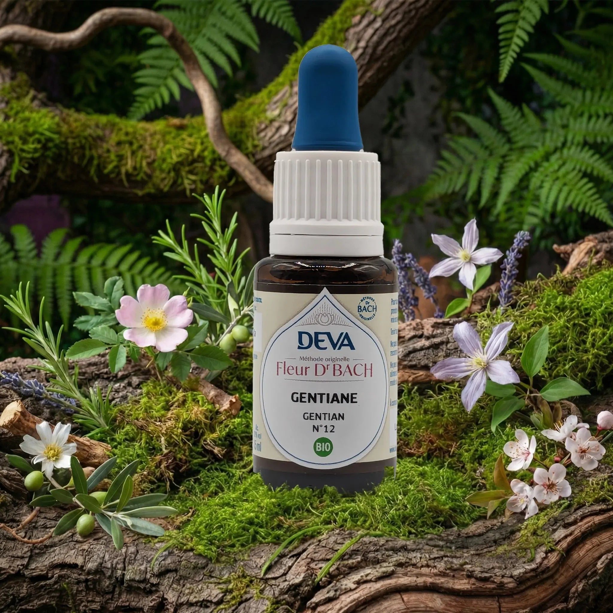 Flacon compte-gouttes Deva - Fleur du Dr Bach - Gentiane N.12 sur un lit de mousse et plantes sauvages