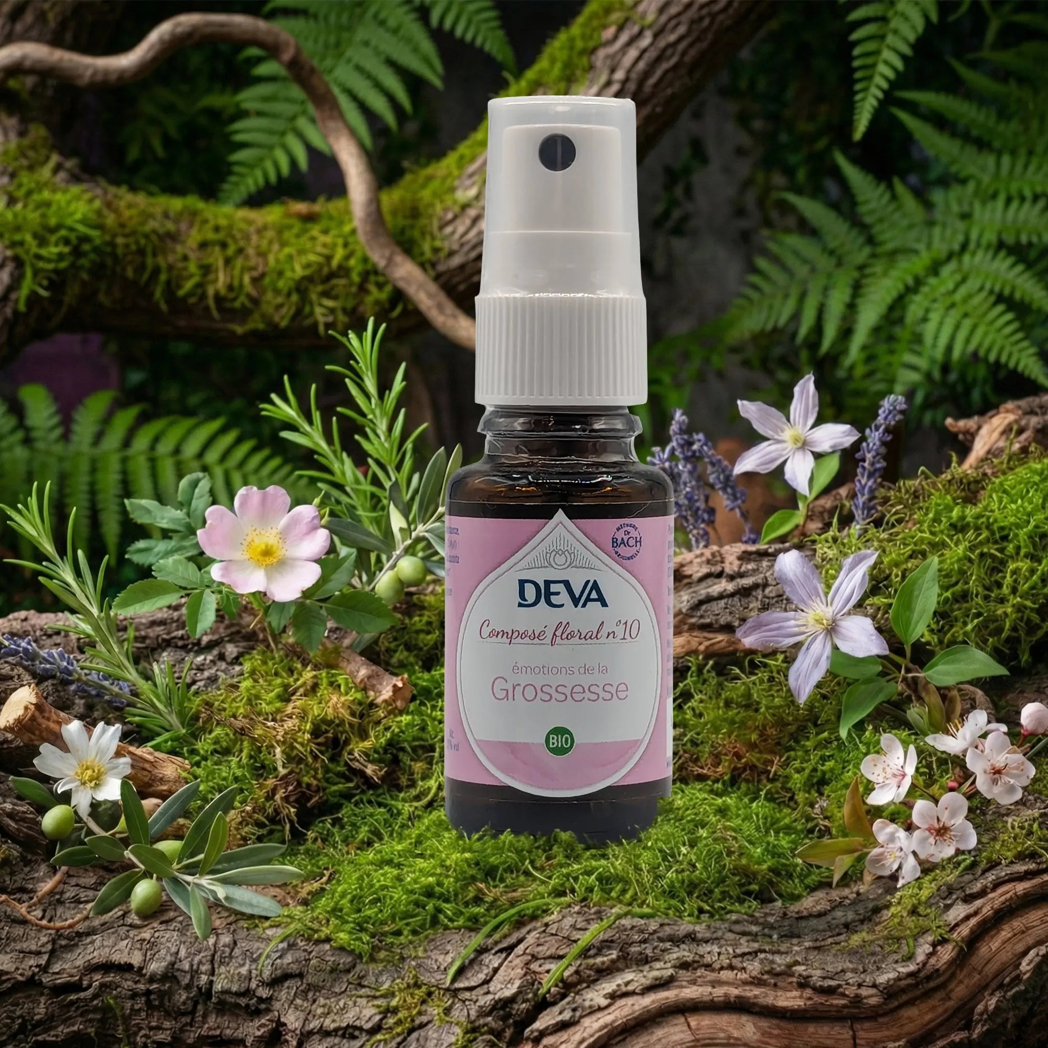 Flacon spray Deva - Composé Floral Dr Bach - Émotions de la Grossesse N.10 sur un lit de mousse et plantes sauvages.
