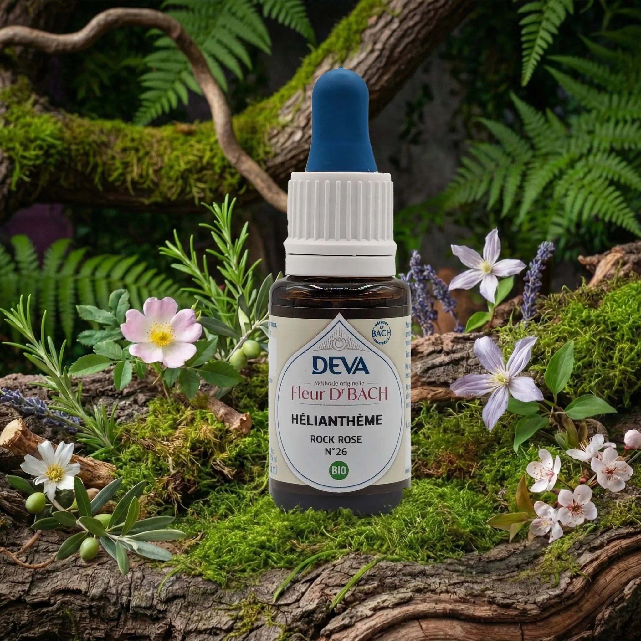 Flacon compte-gouttes Deva - Fleur du Dr Bach - Hélianthème N.26 sur un lit de mousse et plantes sauvages