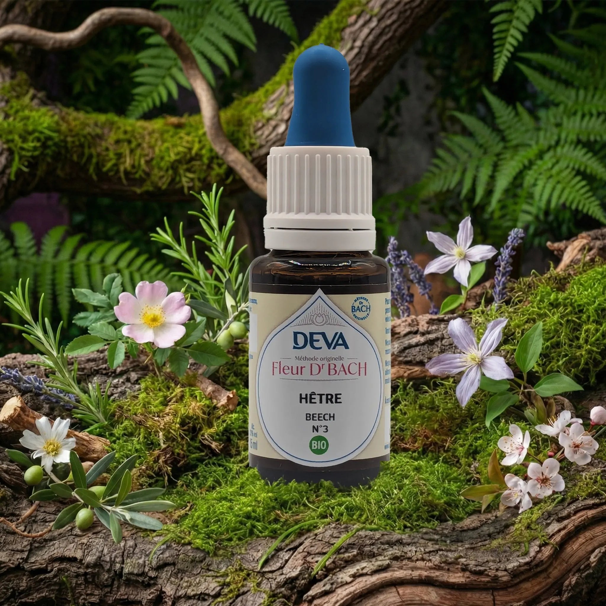 Flacon compte-gouttes Deva - Fleur du Dr Bach - Hêtre N.3 sur un lit de mousse et plantes sauvages