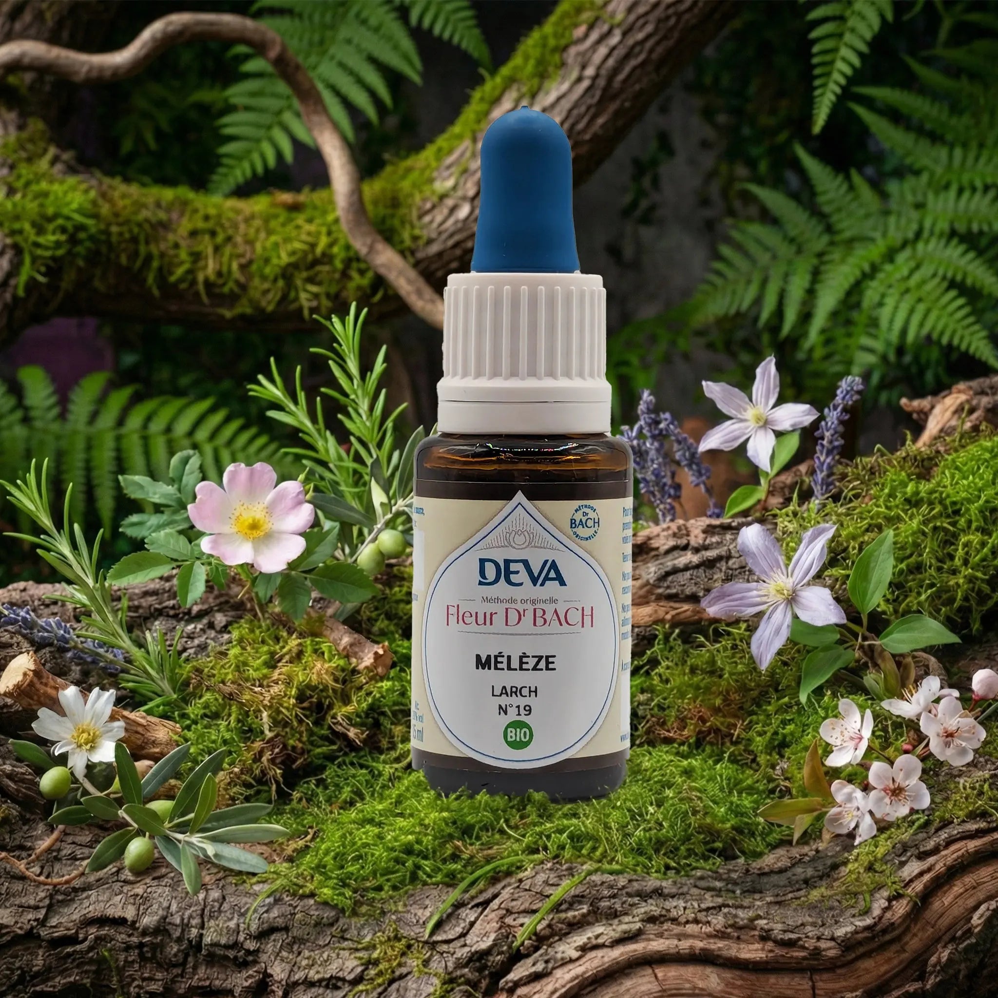 Flacon compte-gouttes Deva - Fleur du Dr Bach - Mélèze N.19 sur un lit de mousse et plantes sauvages