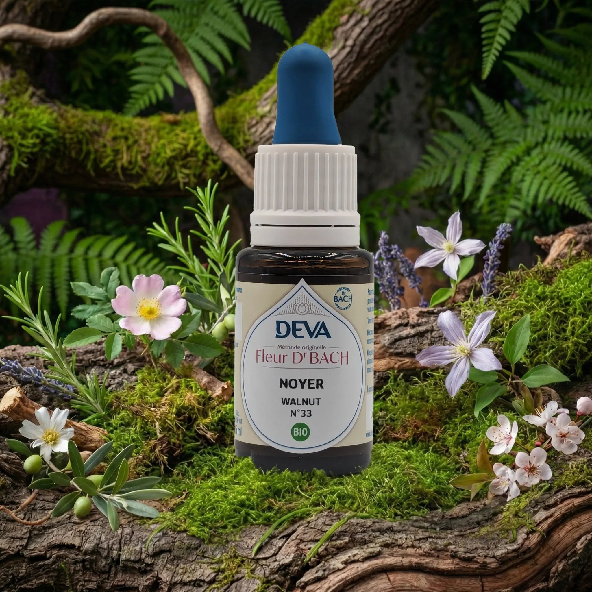 Flacon compte-gouttes Deva - Fleur du Dr Bach - Noyer N.33 sur un lit de mousse et plantes sauvages