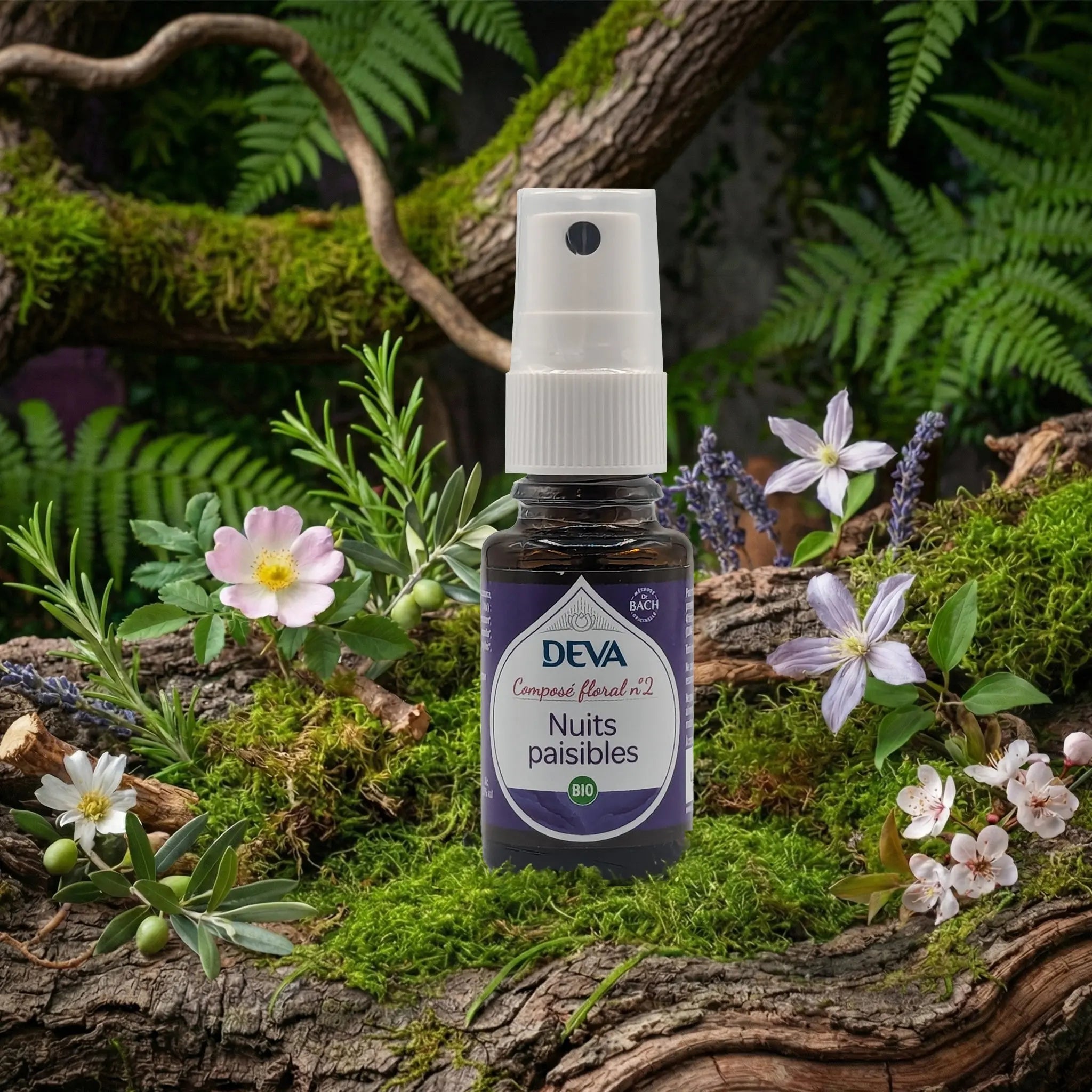 Spray buccal Deva Composé Floral Dr Bach - Nuits Paisibles N.2 dans un décor de nuit végétale et mousse