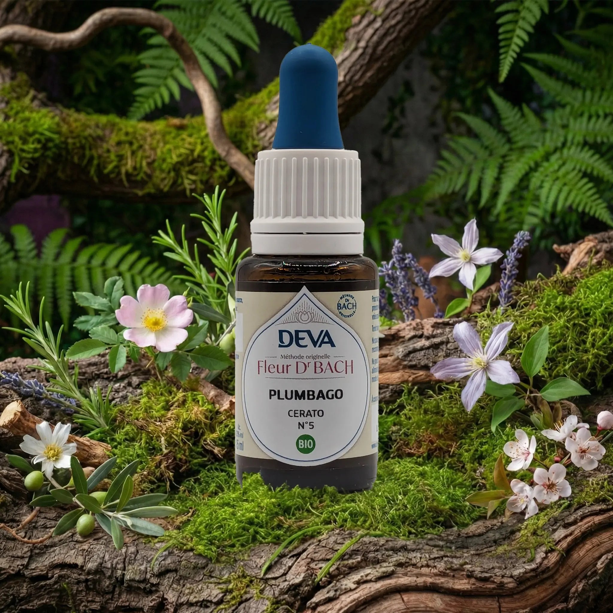 Flacon compte-gouttes Deva - Fleur du Dr Bach - Plumbago N.5 sur un lit de mousse et plantes sauvages