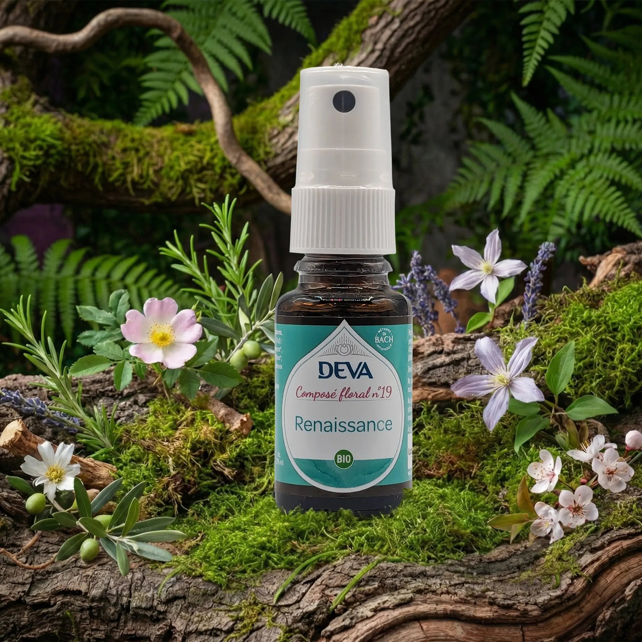 Flacon spray Deva - Composé Floral Dr Bach - Renaissance N.19 sur un lit de mousse et plantes sauvages.