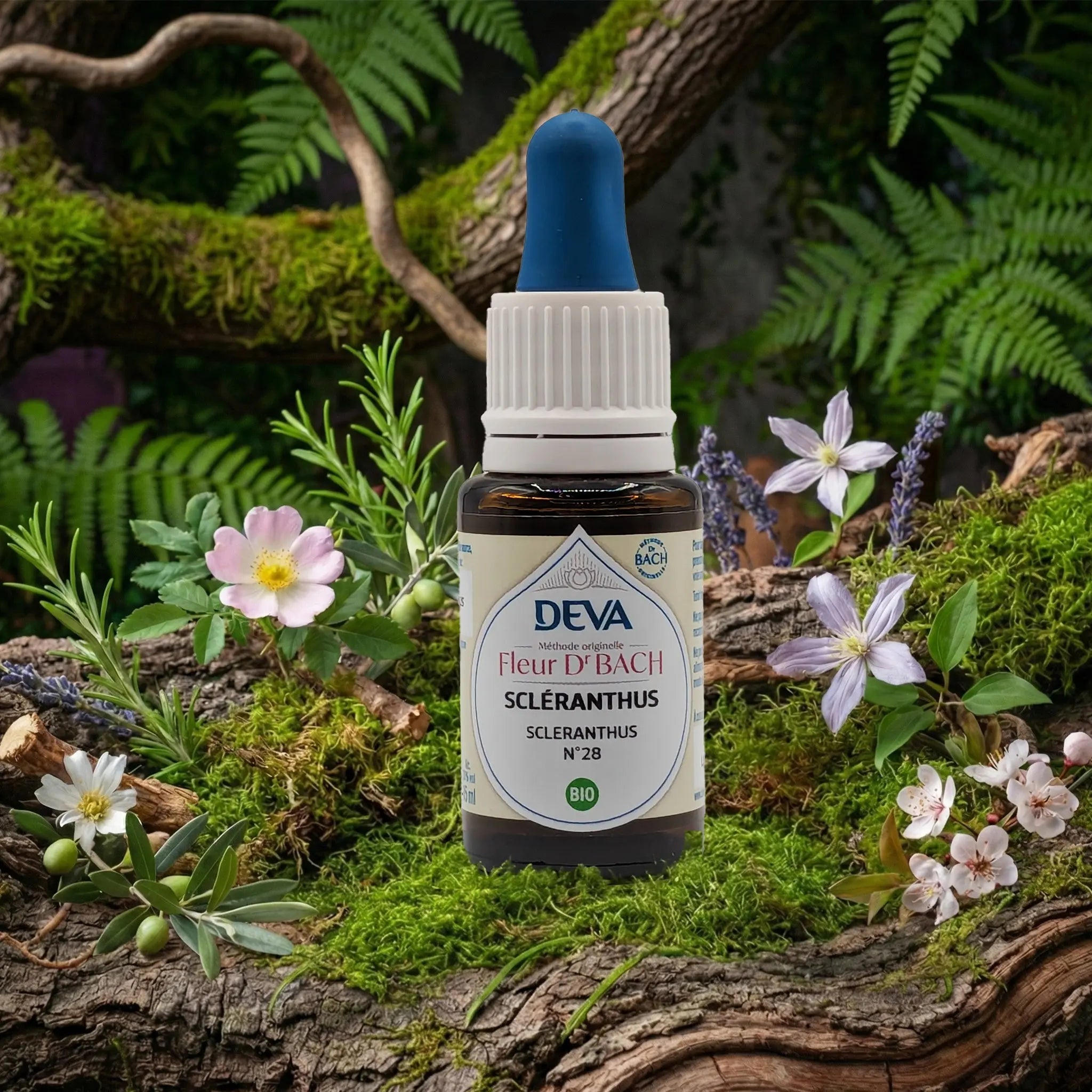 Flacon compte-gouttes Deva - Fleur du Dr Bach - Scleranthus N.28 sur un lit de mousse et plantes sauvages