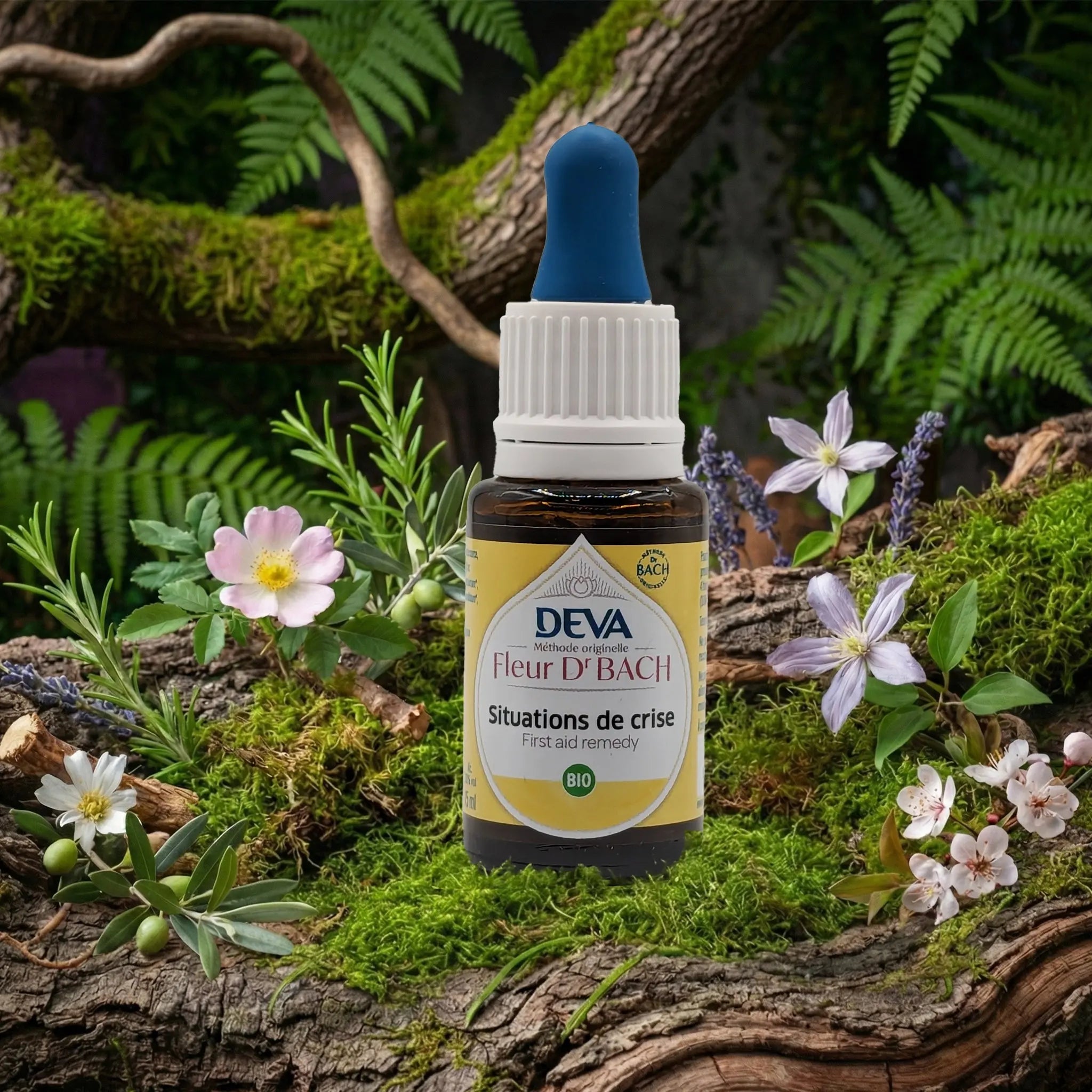 Flacon compte-gouttes Deva Fleur du Dr Bach - Situation de Crise sur un lit de mousse et plantes sauvages